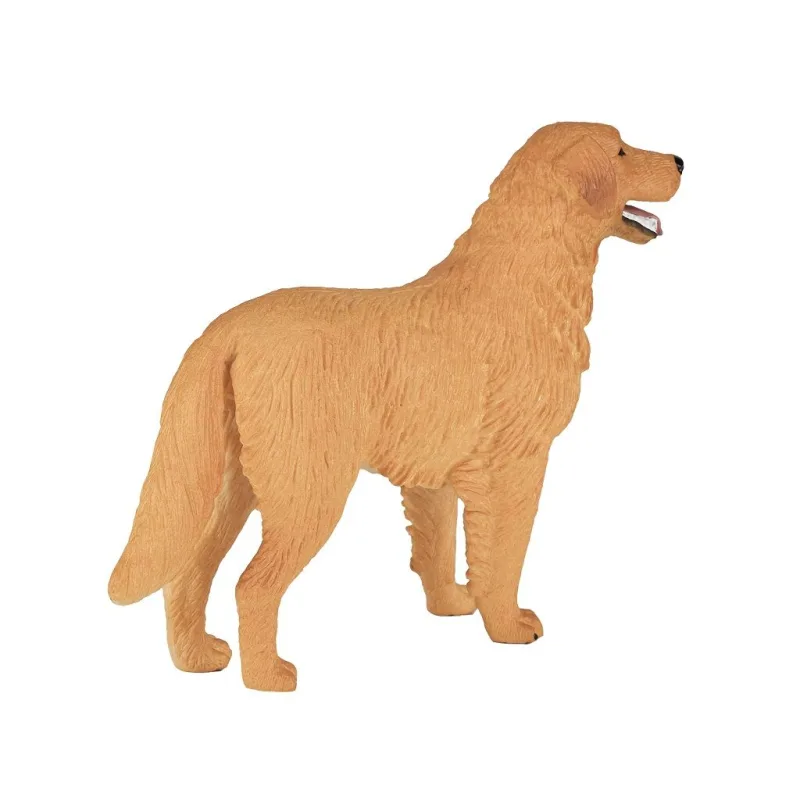Mojo Zlatý retriever