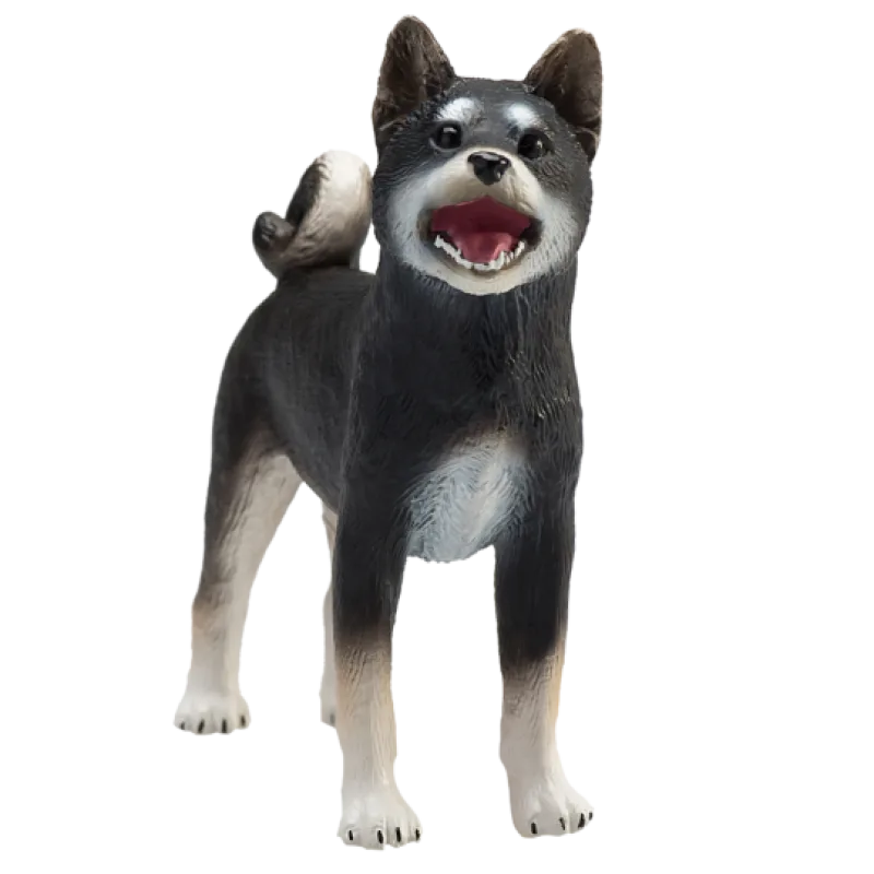 Mojo Pes Shiba Inu čierny