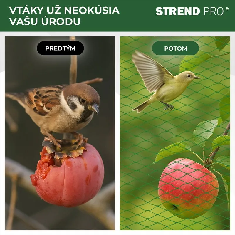 Sieť proti vtákom Strend Pro 4×5 m, oko 18 mm, PE