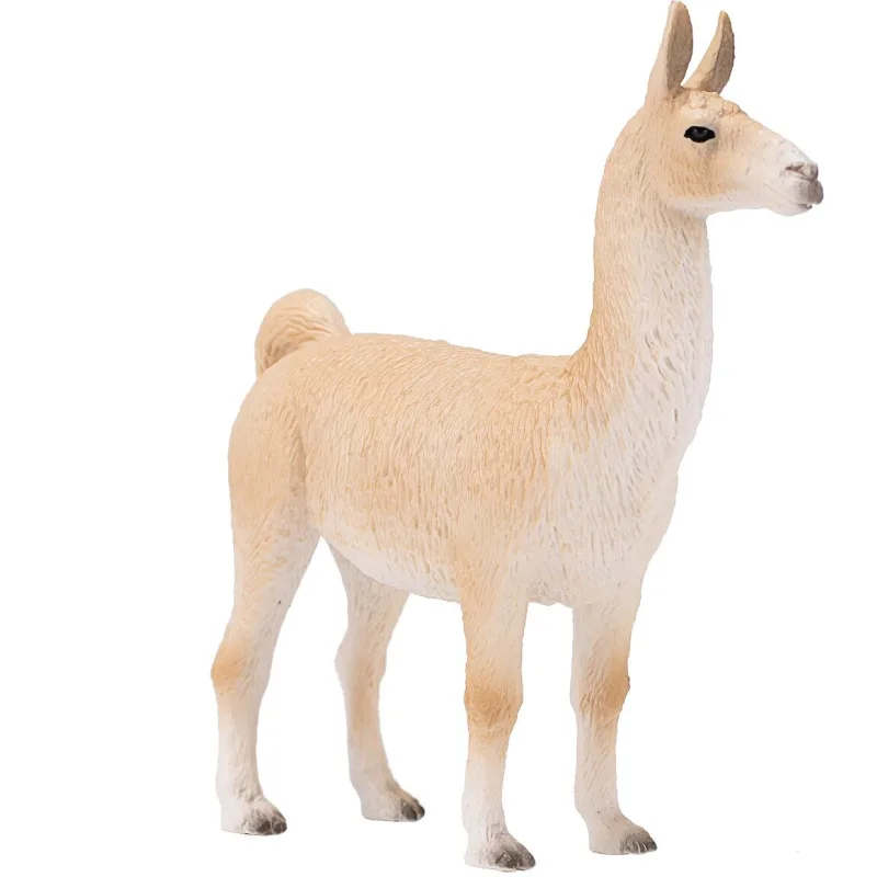 Mojo Lama