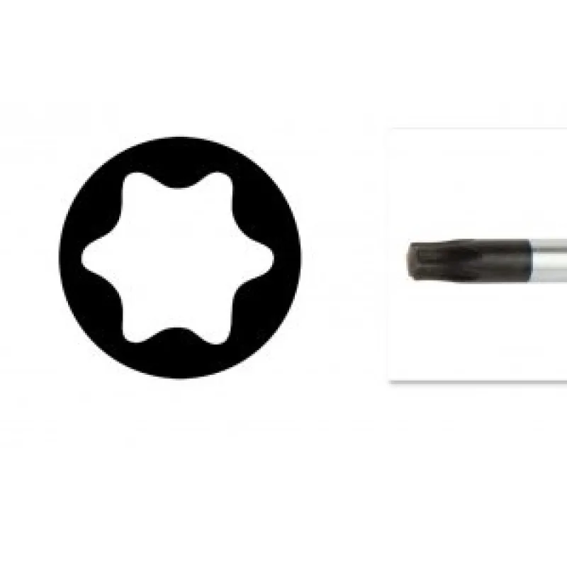 TORX T6