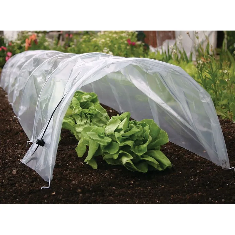 Parenisko Strend Pro Greenhouse, mini fóliovník, 55x600x40 cm