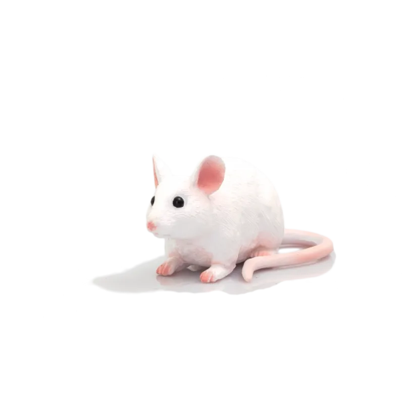 Mojo Myš
