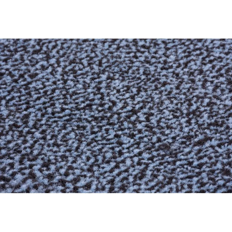 Rohožka pred dvere CPM 305 – 40x60 cm, čierna/modrá