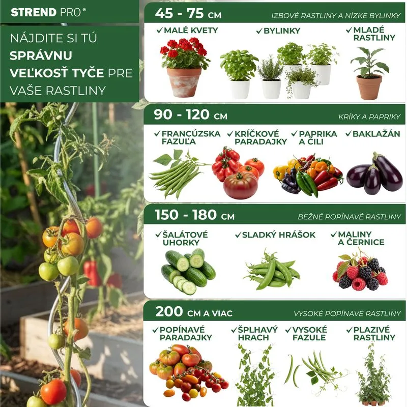 Tyč k paradajkám GS1 1800/6,5 mm – špirálová, Zn