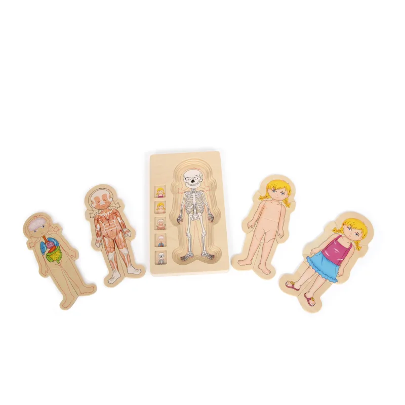 Obliekacie puzzle Anatómia - ľudské telo dievča