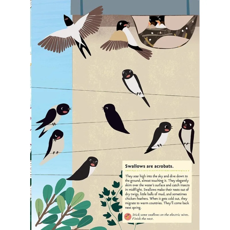 Chronicle Books Kniha aktivít so samolepkami my nature Vtáky sveta