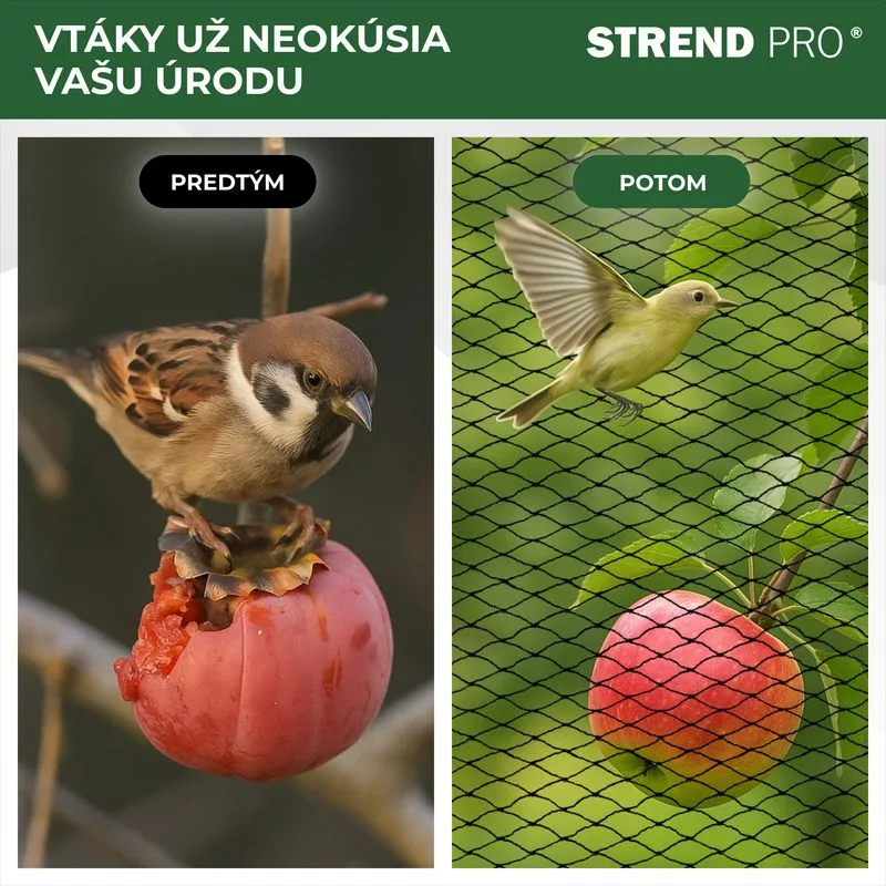 Sieť proti vtákom A1201, 2x5 m, oko 25 mm, PE