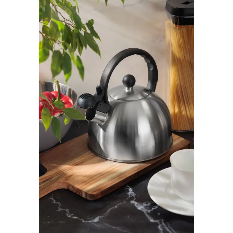 Čajník MagicHome, pískací, 2500 ml