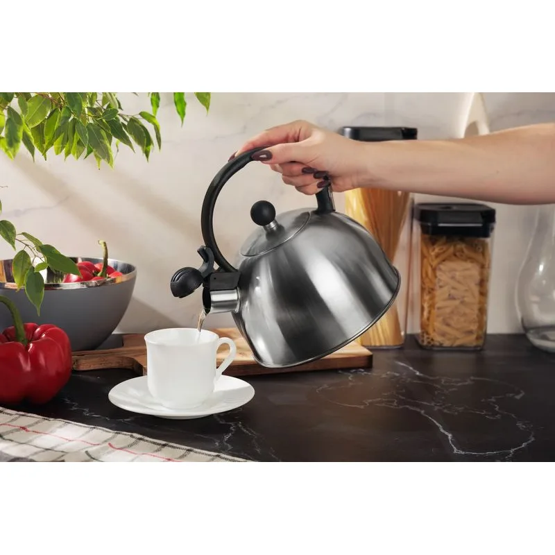Čajník MagicHome, pískací, 2500 ml