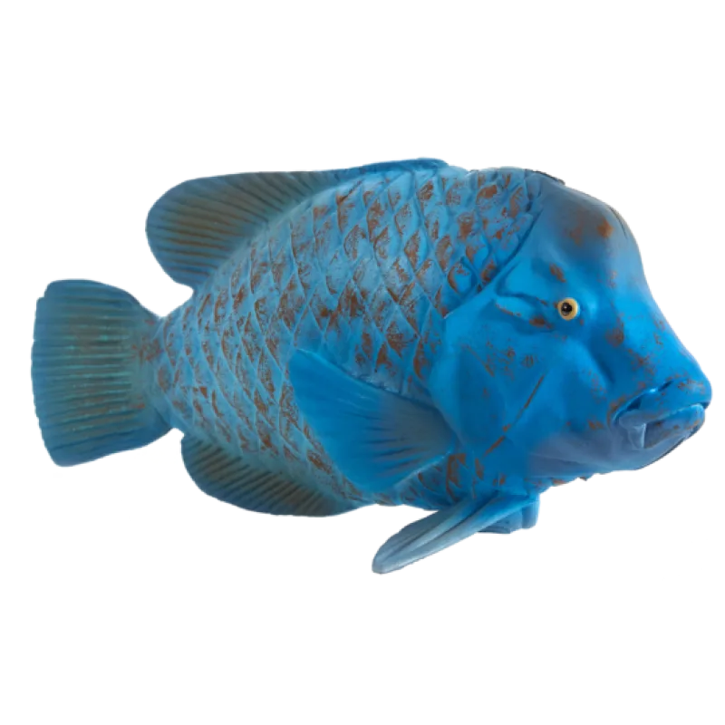 Mojo Groper modrý