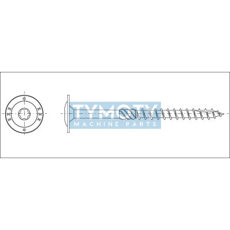 Vrut konštrukčný tanierová hlava TORX40 10,0x220 zinok biely