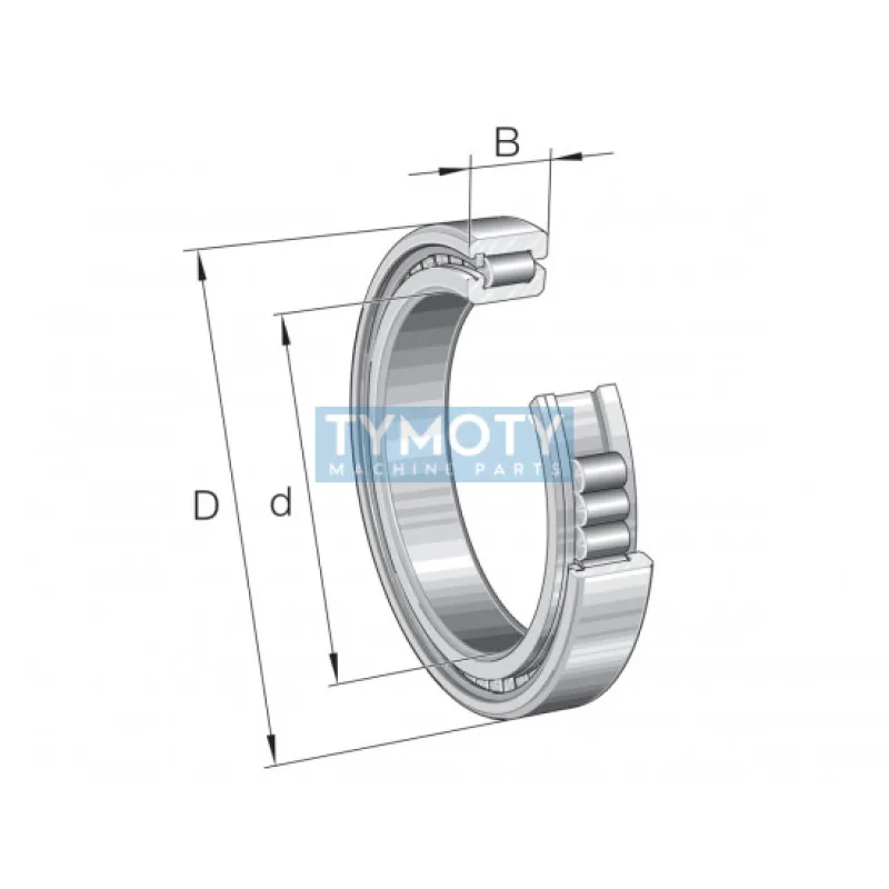 INA SL181856-E-C3