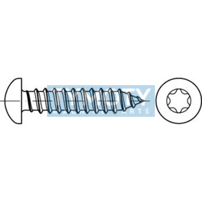 Skrutka samorezná TORX DIN 7981C 5,5x50 pozink