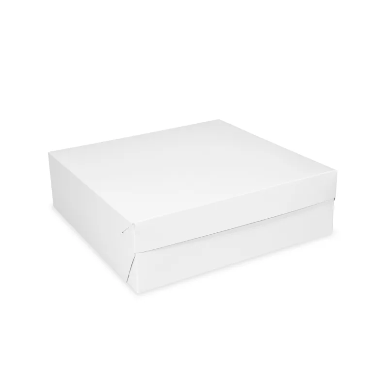 Dortová krabice 25 x 25 x 10 cm RECY [1 ks] (71725.1-11B)