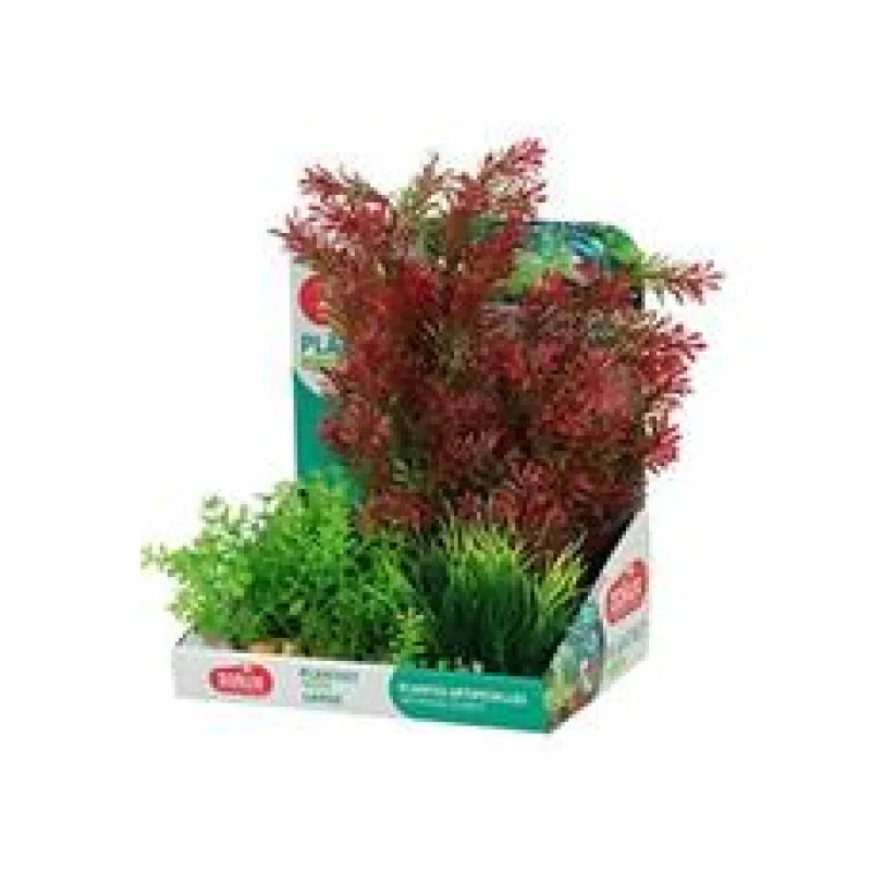 Rostliny akvarijní PLANTKIT 1 Zolux 1 sada L