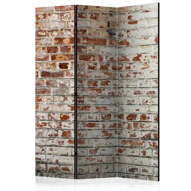 Artgeist Paraván - Walls of Memory [Room Dividers]