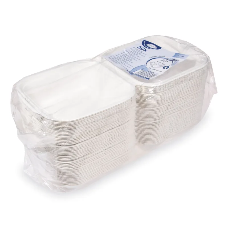 Menu box BIO cukrová třtina 222 x 200 x 67 mm [50 ks] (45601)