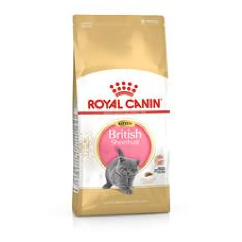 ROYAL CANIN British Shorthair Kitten 10 kg