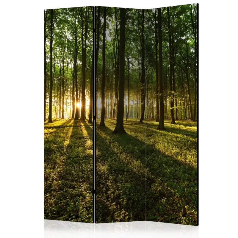 Artgeist Paraván - Morning in the Forest [Room Dividers]