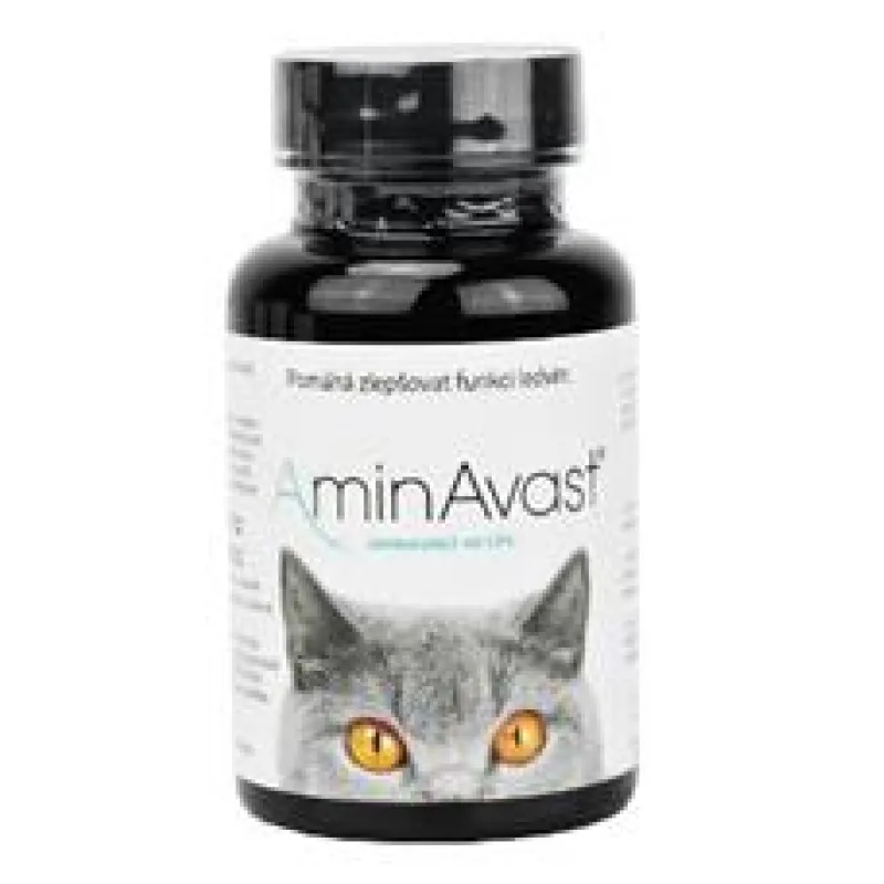 AminAvast Kočka 60 cps