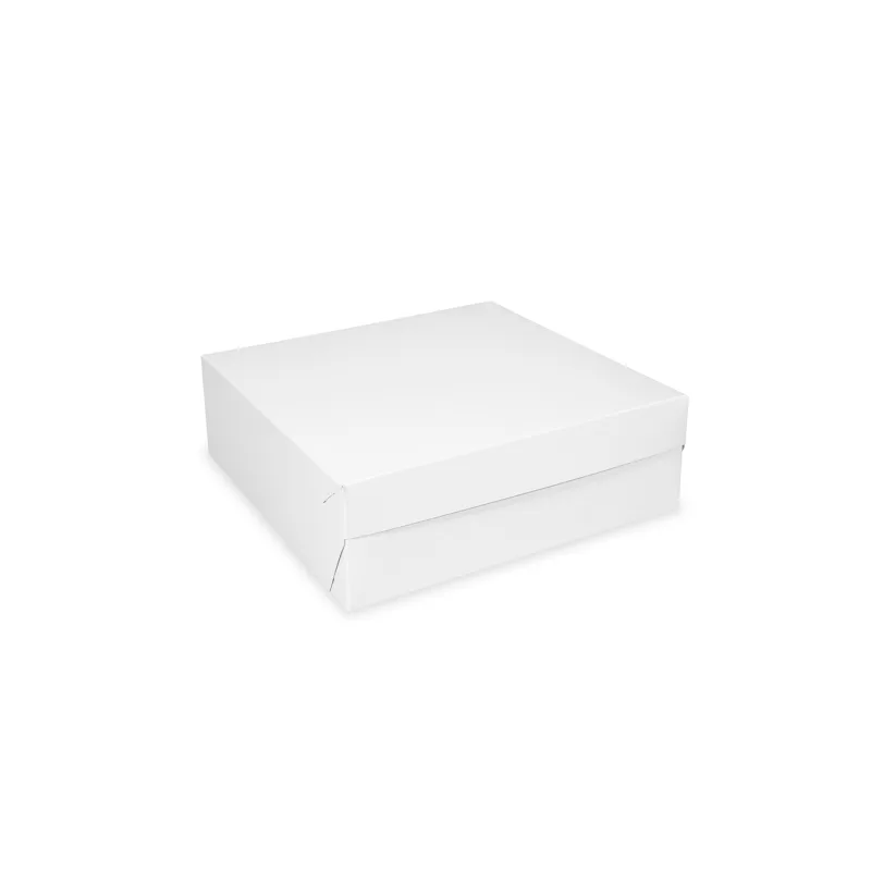 Dortová krabice 18 x 18 x 9 cm RECY [1 ks] (71718.1-11B)