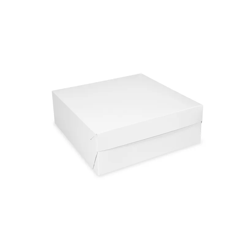 Dortová krabice 20 x 20 x 10 cm RECY [1 ks] (71720.1-11B)
