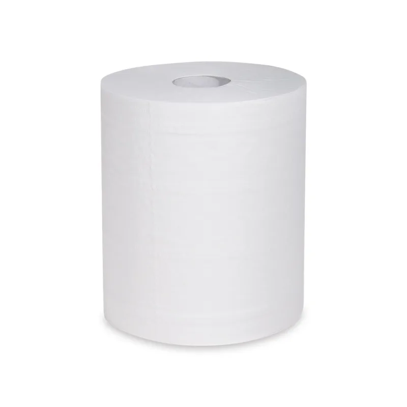 NEPOSÍLÁME - Utěrky tissue rolované 2-vr. 22 cm x 160 m (Ø 19 cm) [6 ks] (60132)