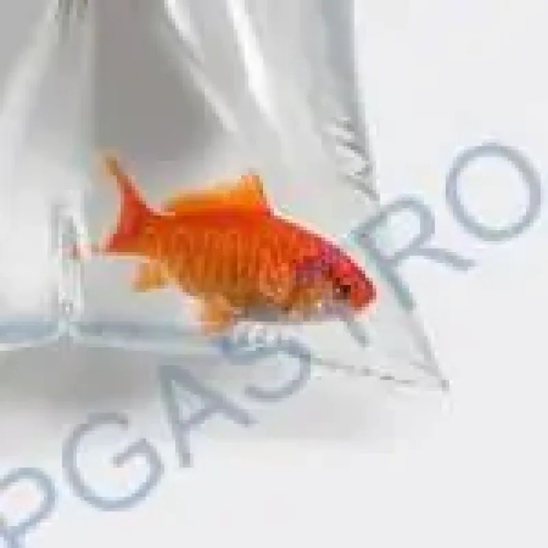 Sáčky LDPE 20 x 30 cm [100 ks] (68622)