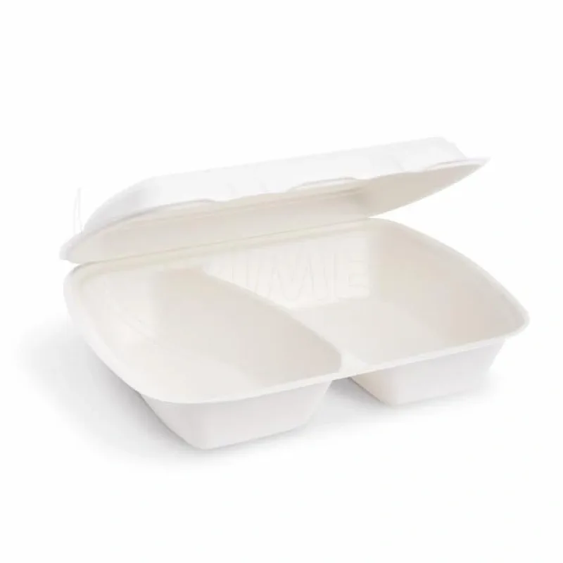 Menu boxy (cukrová třtina) 2-dílné 241 x 202 x 70 mm 1000ml [50 ks](45612)