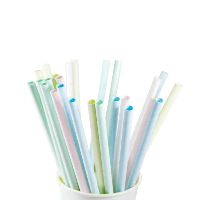Slámky papírové JUMBO rovné, barevný mix, 25 cm, Ø 8 mm [100 ks] (06110 - CH11N)