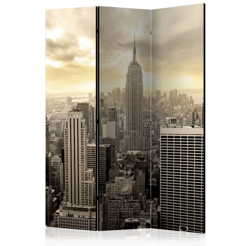 Artgeist Paraván - Light of New York [Room Dividers]