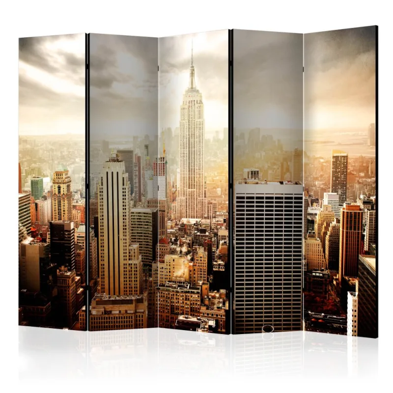 Artgeist Paraván - Uncombed by wind [Room Dividers]