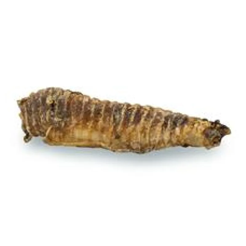 KIDDOG 100% Natural Snack, hovězí trachea 12-13 cm 100g