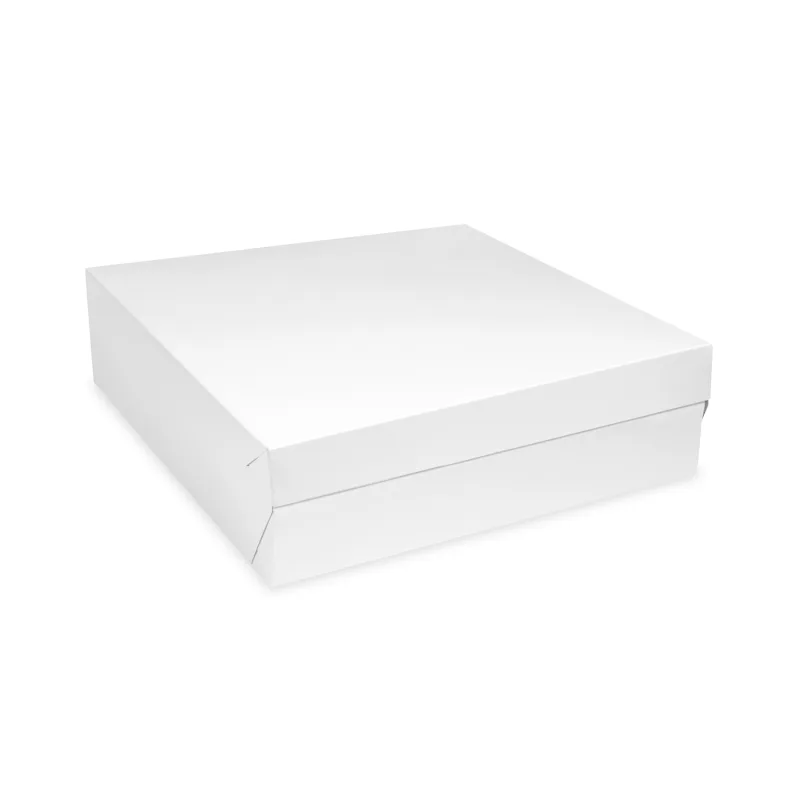 Dortová krabice 28 x 28 x 10 cm RECY [1 ks] (71728.1-11B)