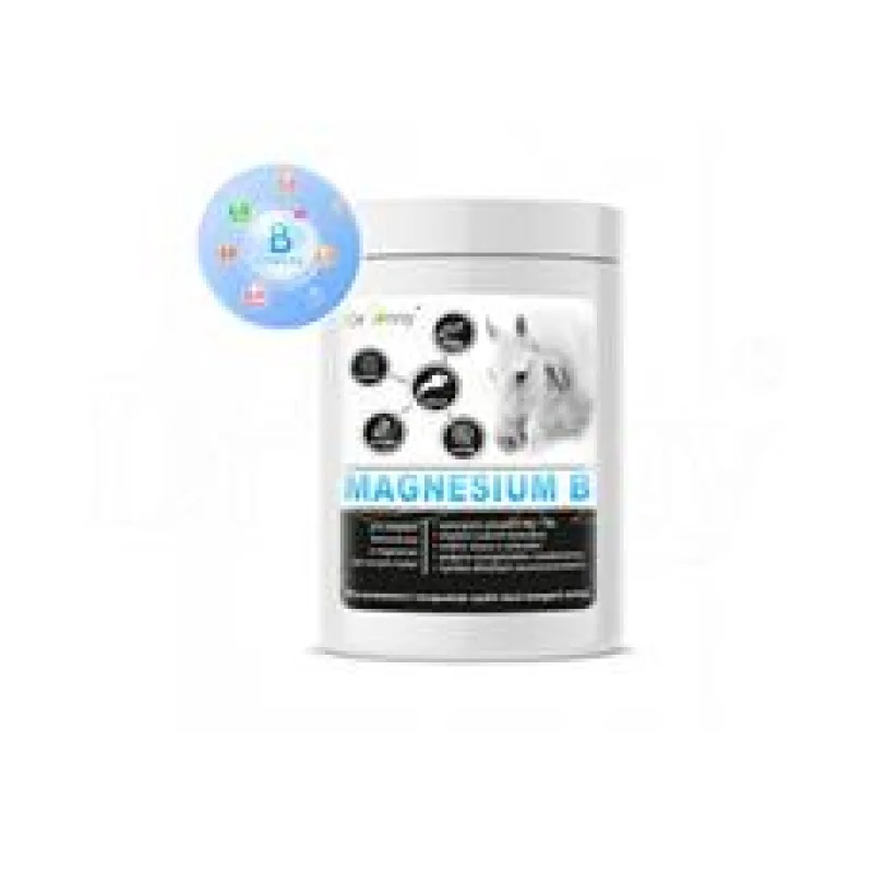 Dromy Magnesium B 1 kg