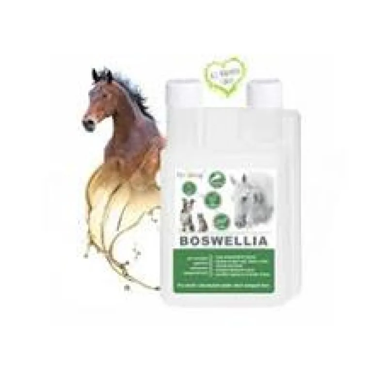 Dromy BOSWELLIA liq. 1000 ml