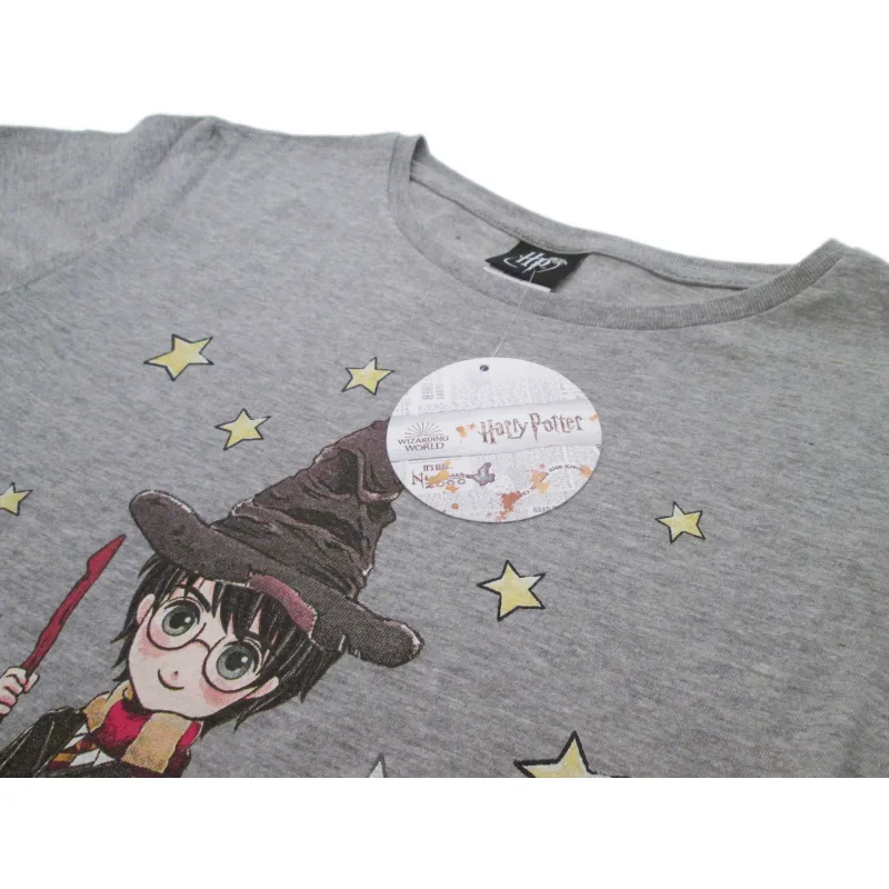 Harry Potter tričko šedé dámske - SKLADOM