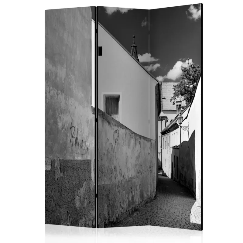 Artgeist Paraván - Narrow Street [Room Dividers]