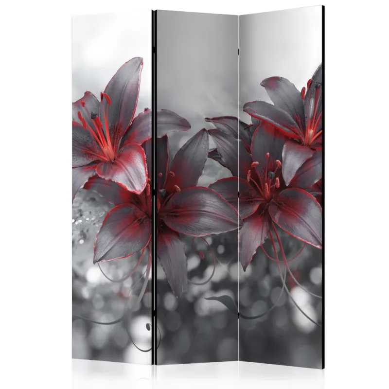 Artgeist Paraván - Shadow of Passion [Room Dividers]