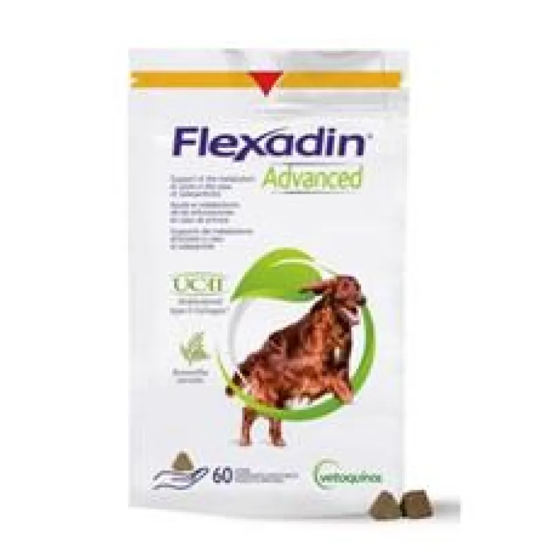 Flexadin Advanced New 60tbl