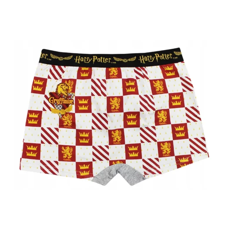 Harry Potter boxerky detské (2 ks v balení) - SKLADOM