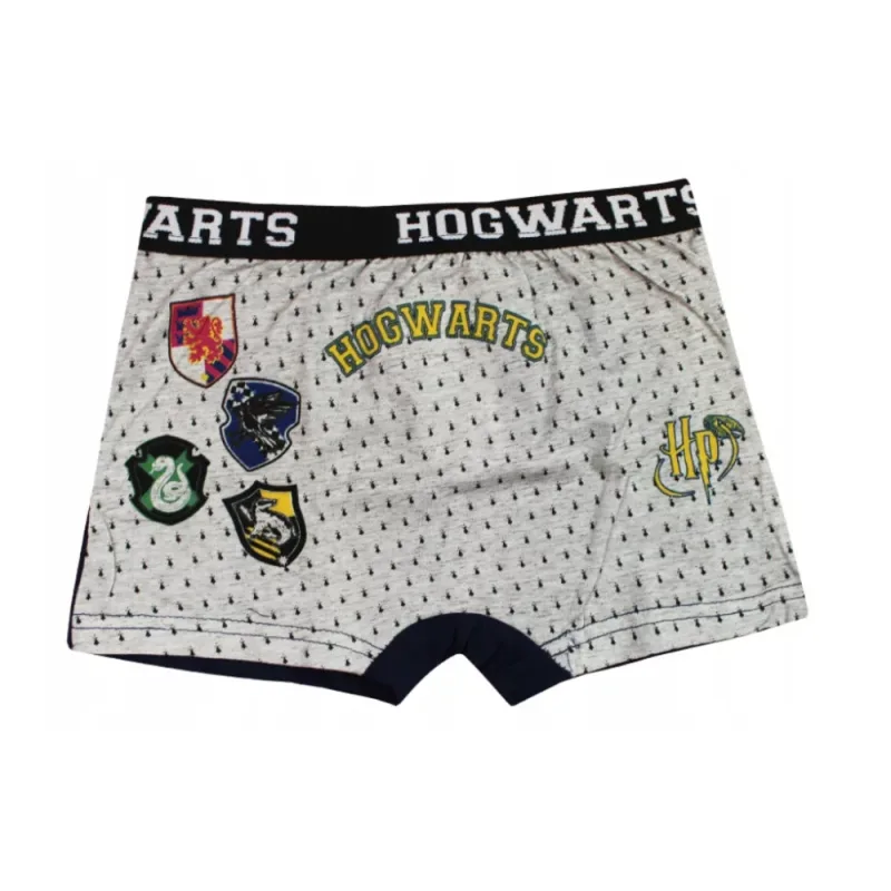 Harry Potter boxerky detské (2 ks v balení) - SKLADOM