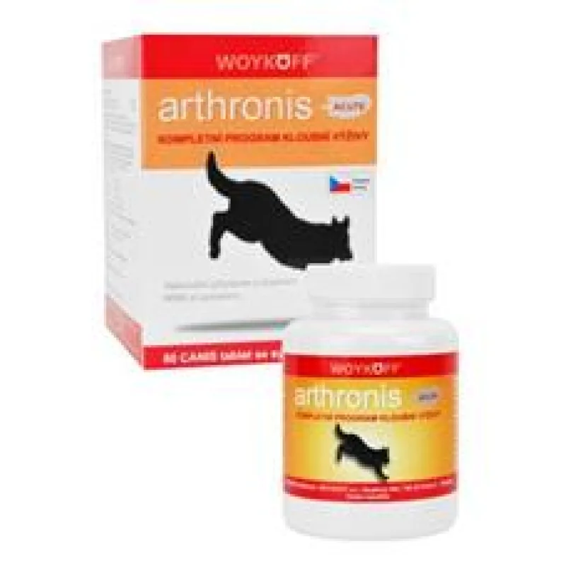 Arthronis Acute 60 tbl