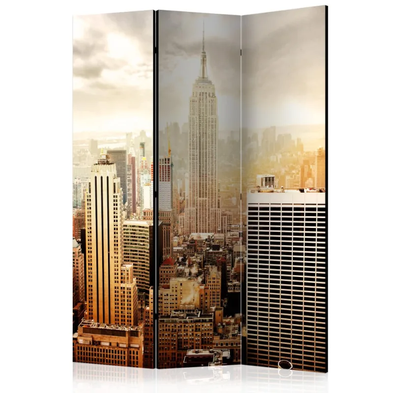Artgeist Paraván - Uncombed by wind [Room Dividers]