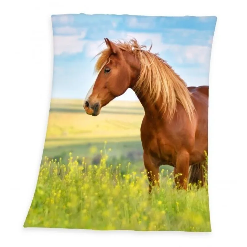 Detská Fleece deka Kôň 130x160 cm