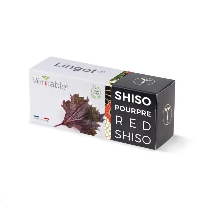 Véritable Lingot Fialový shiso - BIO VLIN-S5-Shi033