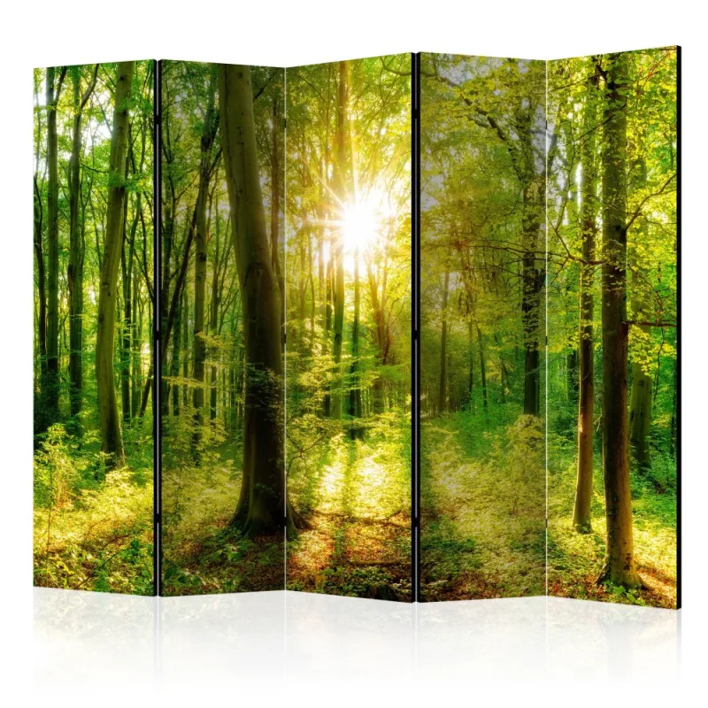 Artgeist Paraván - Forest Rays [Room Dividers]