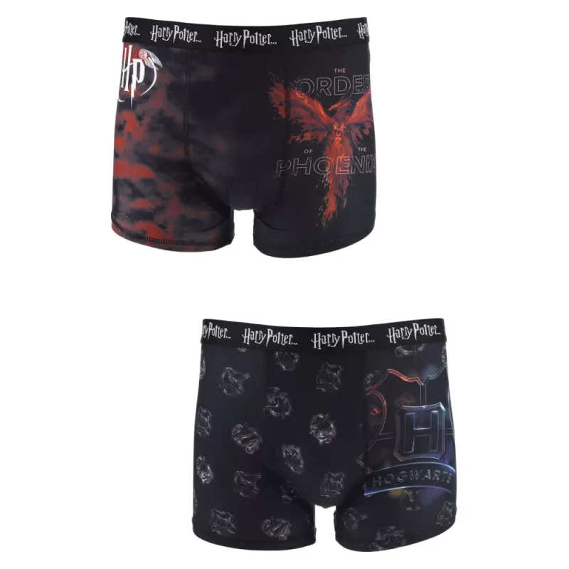 Harry Potter boxerky pánske (2 ks v balení) - SKLADOM