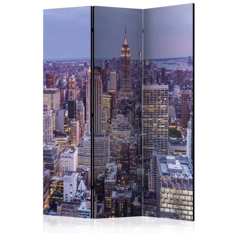 Artgeist Paraván - Evening City [Room Dividers]